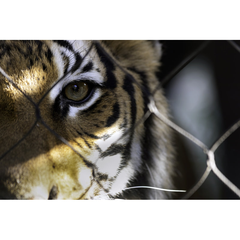 Wired - Wrapped Canvas Print, 30cm H x 46cm W