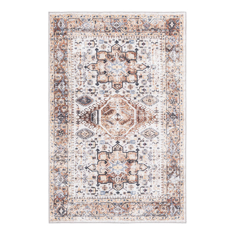 Nienke Oriental Indoor Rug, Rectangle 4' x 6'