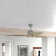 Wayne 60'' Ceiling Fan with LED Lights