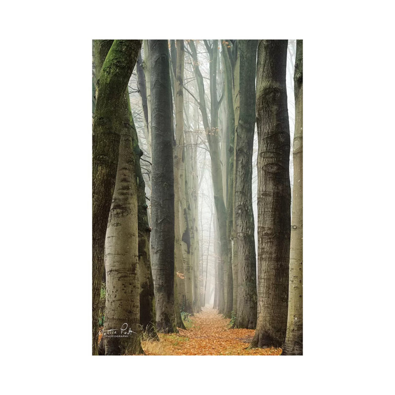 Narrow Alley In The Netherlands by Martin Podt - Wrapped Canvas Print, 101.6 cm H x 66.04 cm W