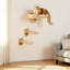 Lit mural pour chat avec 2 marches