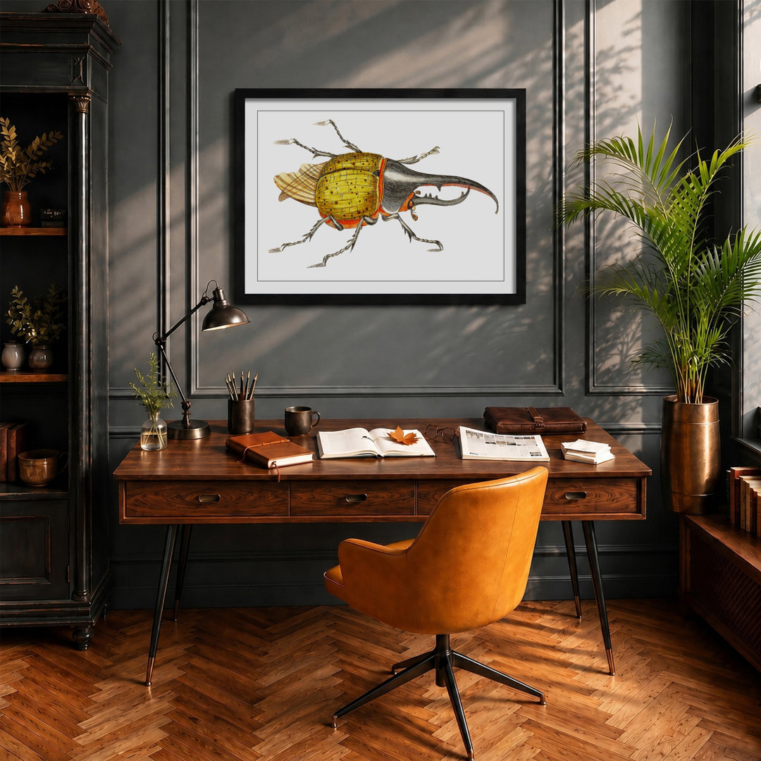 Hercules Beetle by George Shaw - Framed Print