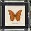 Single Picture Frame Print on Wood