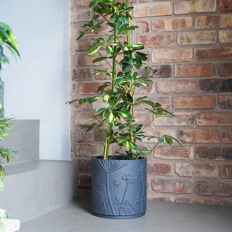 Pot Planter, 18 cm H x 17,5 cm W x 17,5 cm D