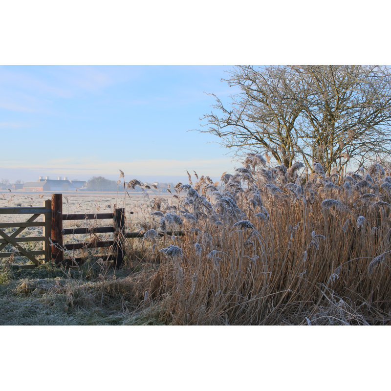 Winter In Suffolk by Coastalrunner - Wrapped Canvas Print, 61cm H x 91cm W x 3.8cm D