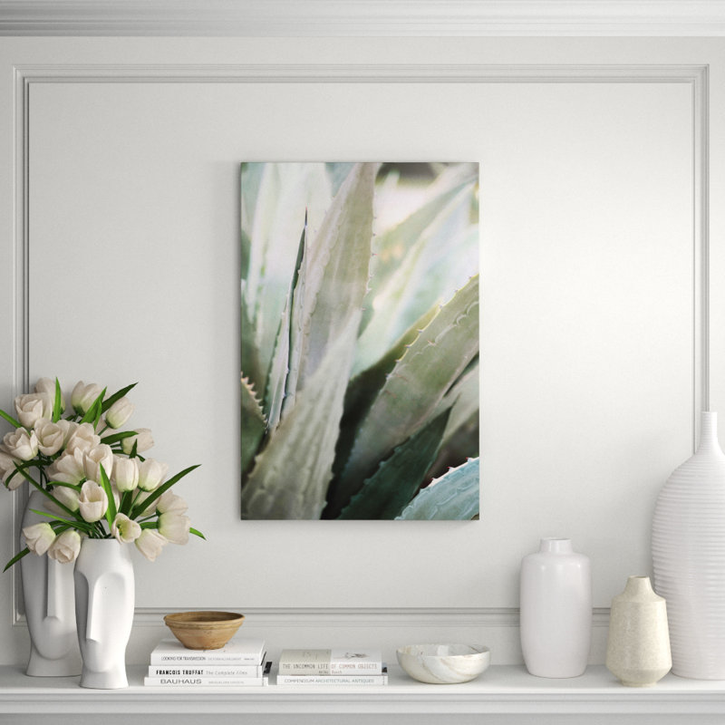 Winter Agave II Print by Alicia Bock, 36" H x 24" W x 1.5 " D