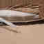 Photos des clients 3 de 3