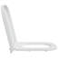 Grey Plastic Standard Adjustable Armrests Toilet Seat Oval-750646414