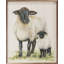 Mouton par Leslie Trimbach-347016680