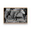 «Painted Pony» par Nathan Larson, reproduction d'art-754920113-754920117-754920122
