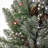 Snowy Morgan Spruce Wreath with Twinkly LED Lights-882102539