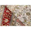 Oriental Area Rug