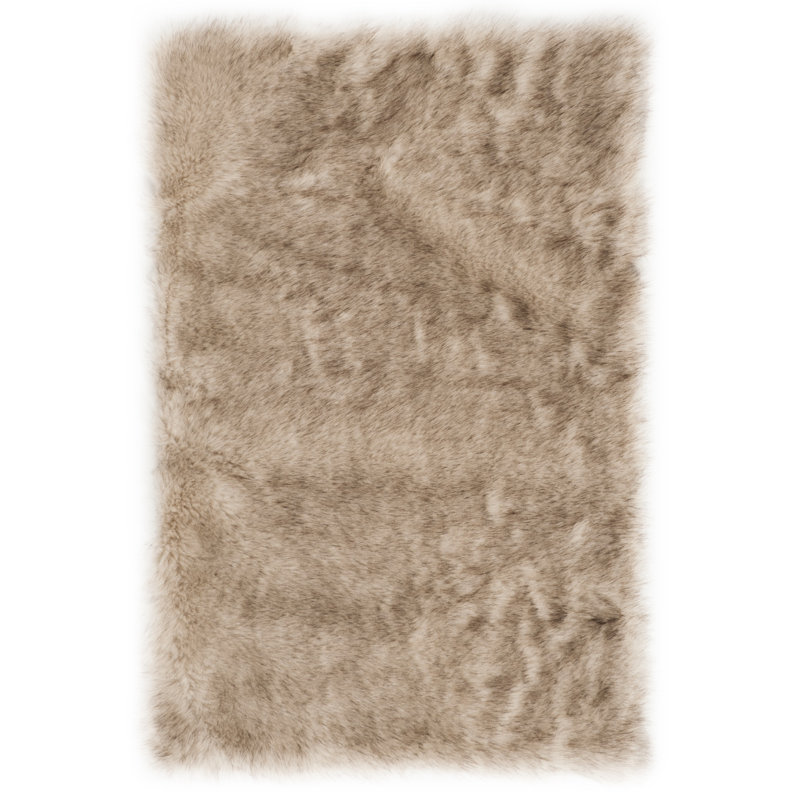 Tapis beige Taneytown, Rectangulaire 3 pi x 5 pi