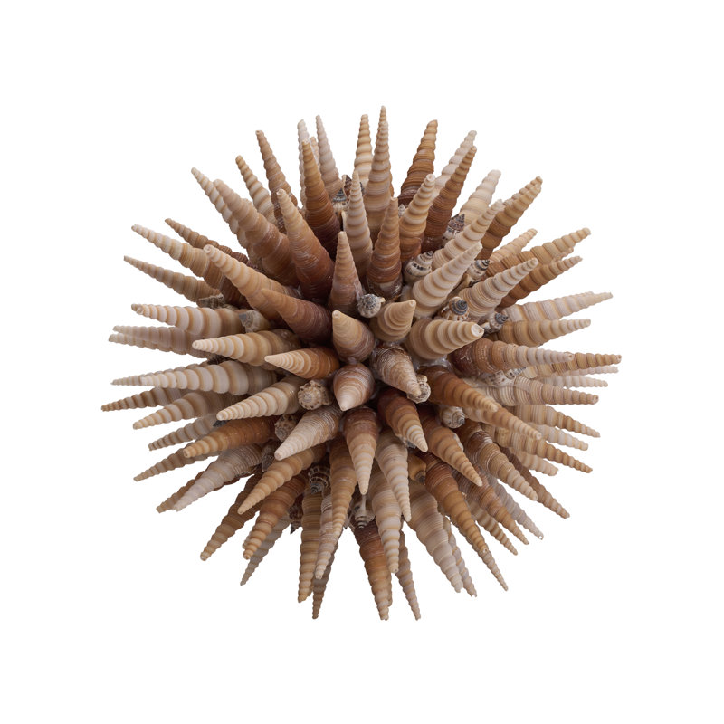 Marlin Shell Ball (LG)
