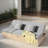47.5" Outdoor Patio Daybed-2146455999