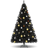 Black Spruce Christmas Tree
