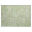 Tapis intérieur / extérieur lavable à la machine Chayden ACN1089 Aloe-109484171