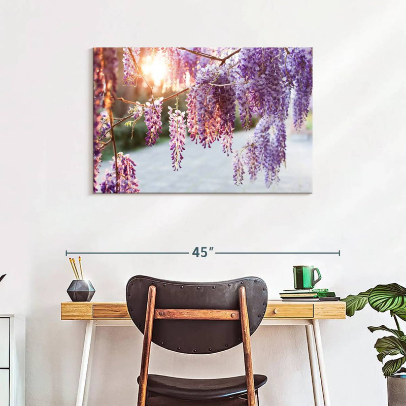 Harnek Wisteria Vine, H 24 po x l 36 po