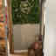 Customer photo 2 of 2