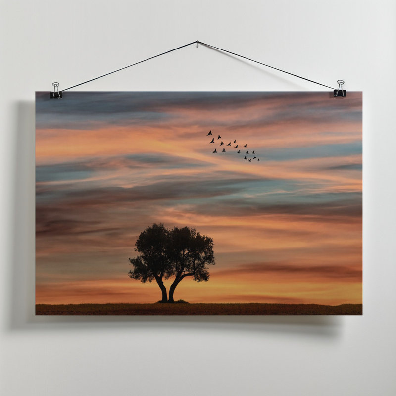 Wrapped Canvas Print, 50.8cm H x 76.2cm W