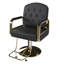 Chaise de salon hydraulique pivotante à 360 ° - Fauteuil de coiffeur professionnel avec pompe-1719074332