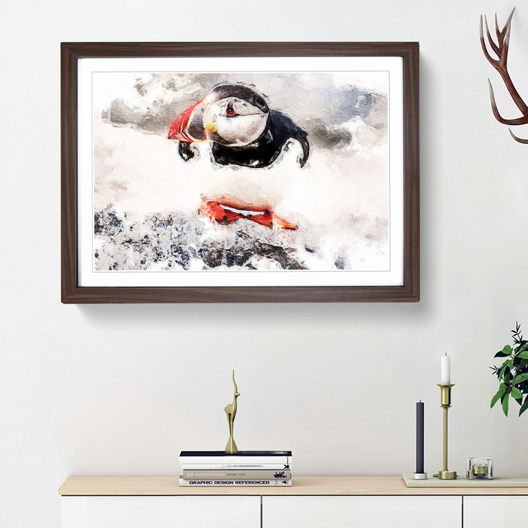 Atlantic Puffin - Framed Print
