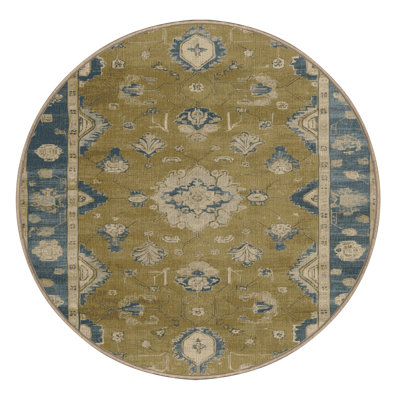 Machine Washable Overdyed Brown Area Rug