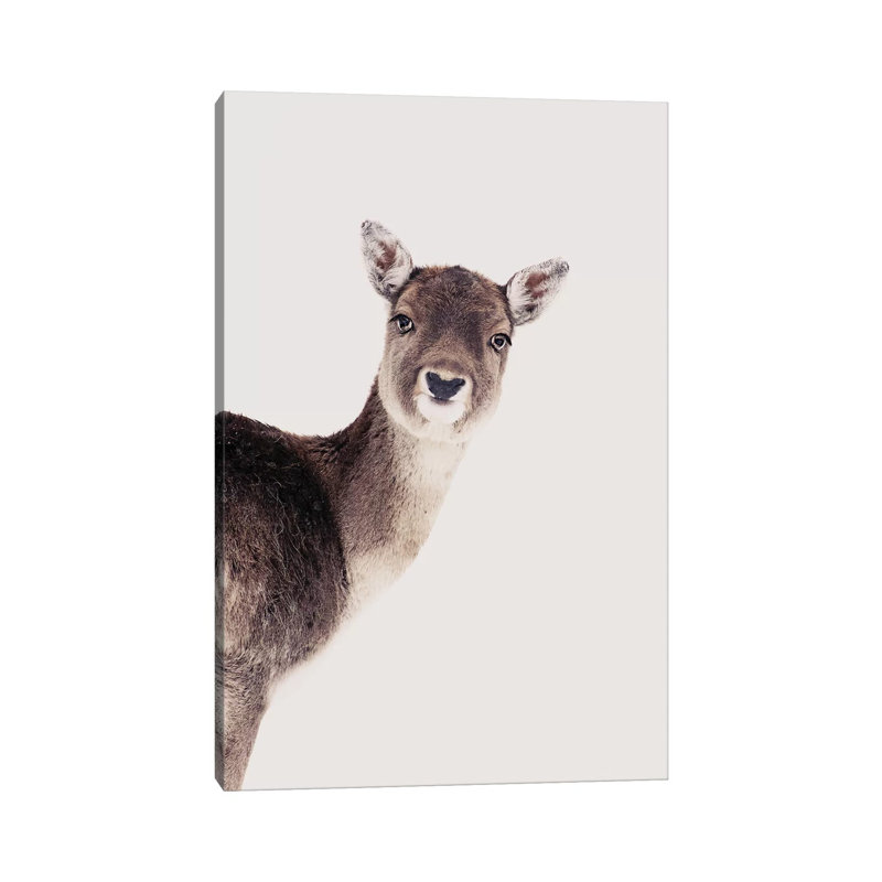 Deer Peekaboo Rose by Monika Strigel - Wrapped Canvas Print, 20.32 cm H x 30.48 cm W