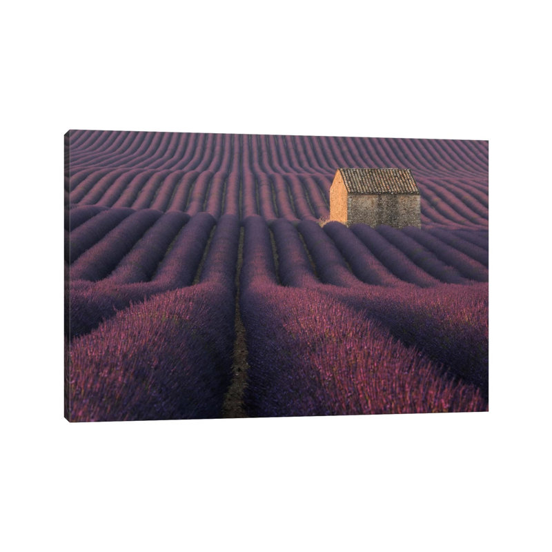 Lavender Fields Of Provence IV by Daniel Kordan - Print on Canvas, 66.04 cm H x 45.72 cm W x 1.91 cm D, Wrapped Canvas