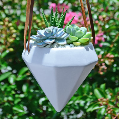 Guilford Ceramic Hanging Planter