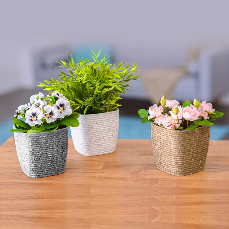 Abellas-Bauzo Pot Planter, White
