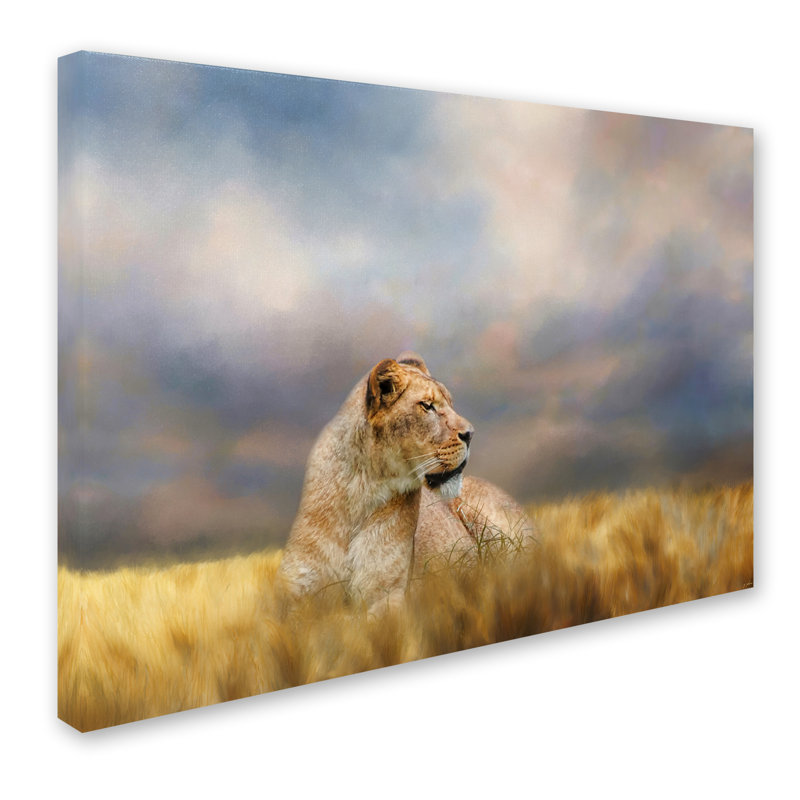 «Lioness After the Storm», impression sur toile tendue Vidur, H 14 po x l 19 po