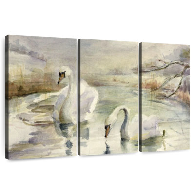 Brampt Swans In Winter