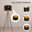 Demariya 59.02'' Matte Tripod Floor Lamp