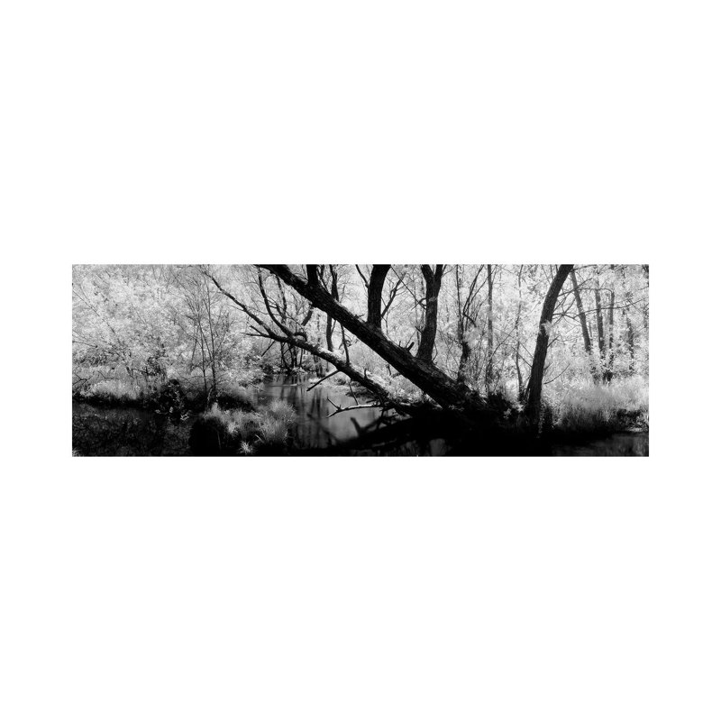 USA, Wisconsin, Stream Of Water Flowing Through A Forest - Wrapped Canvas Panoramic Print