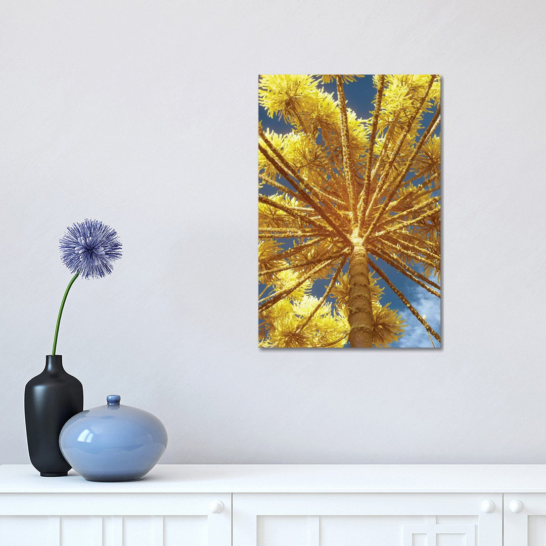 Up by Glauco Meneghelli - Wrapped Canvas Print