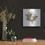 «Bird Nest Study I» par Ethan Harper-101614119