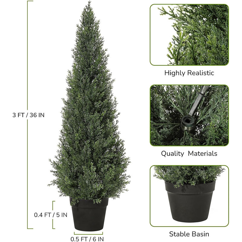 Arrangement in Pot