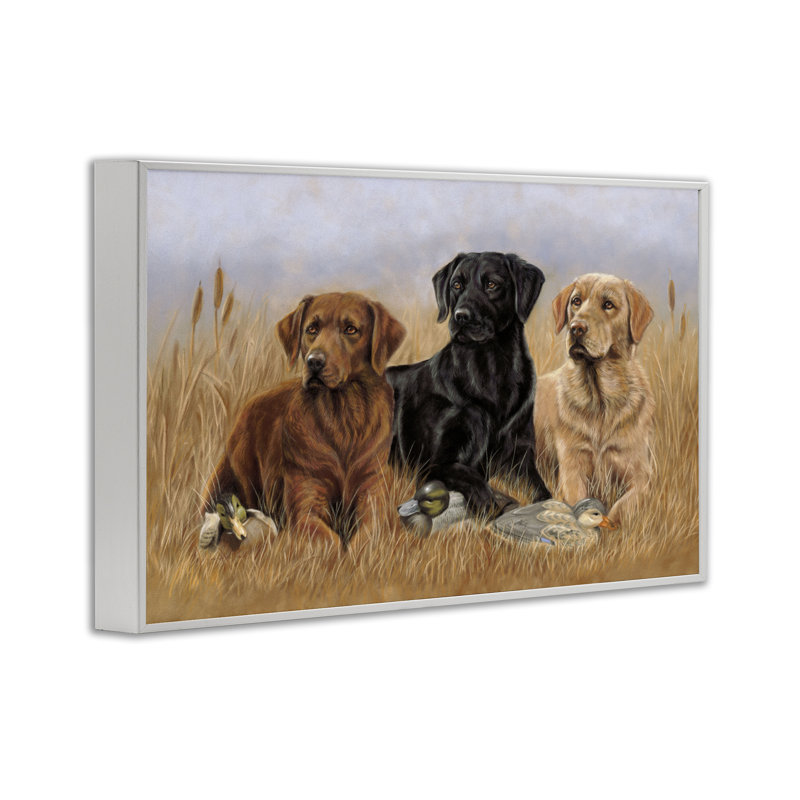 «Dog Trio & Ducks» par Victoria Schultz, Giclée encadrée blanc bord de mer, H 16 po x l 24 po