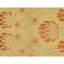 Hand Knotted Area Rug in Camel
