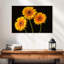 Trois marguerites Harnek sur fond sombre-108136812