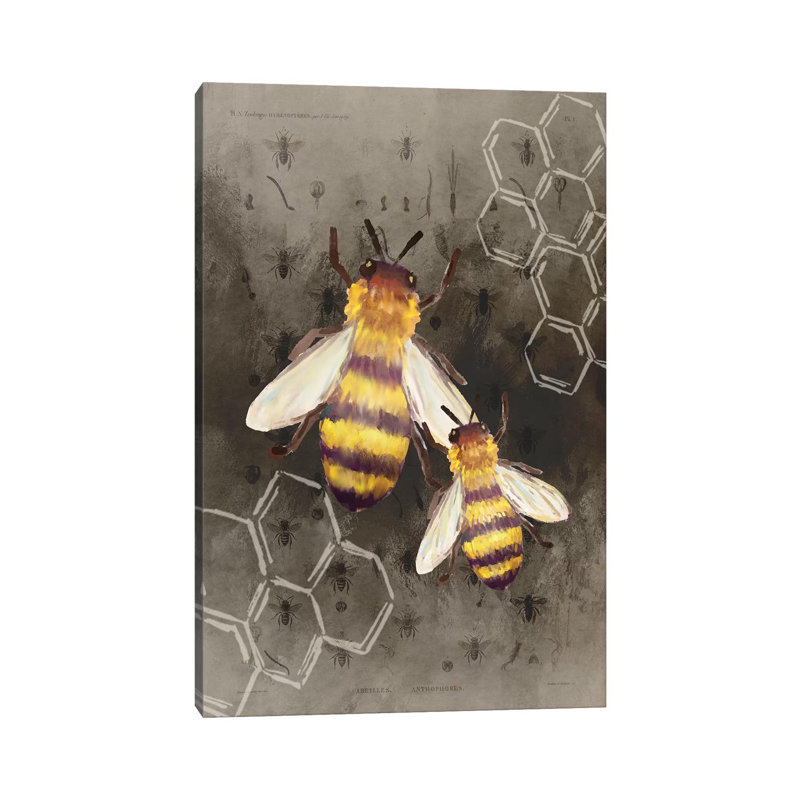 Bee Charmer II by Kimberly Allen - Print on Canvas, Wrapped Canvas, 101.6cm H x 66.04cm W x 3.81cm D
