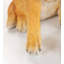 Labrador Figurine with Removable Holiday Wreath