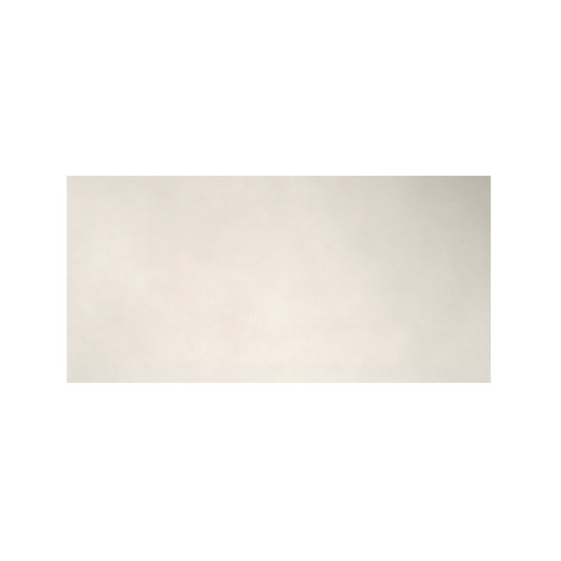 Spectra Latte 12 In. X 24 In. Matte Porcelain Floor And Wall Tile (13.57 Sq. Ft./Case), White