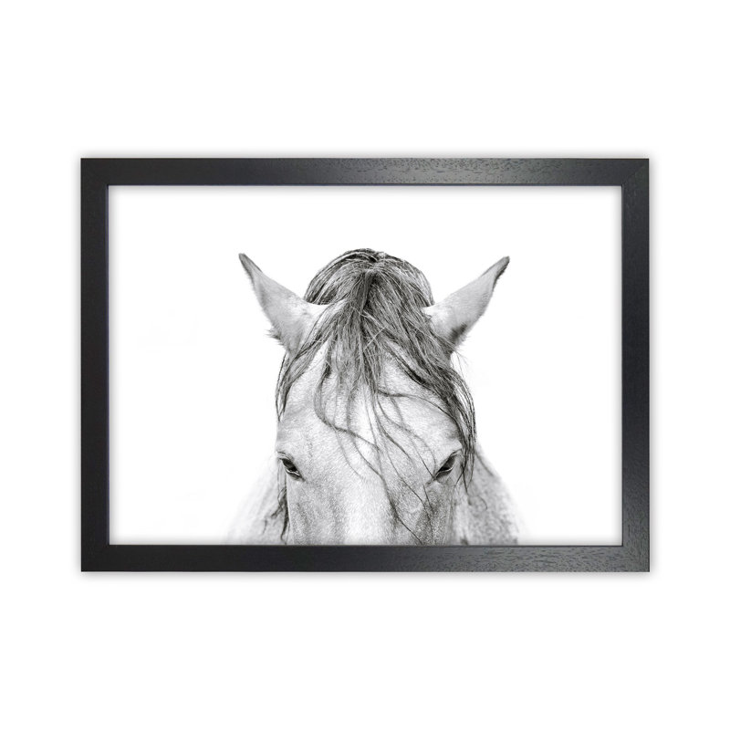 Horse II by Victoria Frost - Print, Black Framed, 64cm H x 88cm W x 3cm D