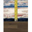 One-of-a-Kind 5' X 8' Area Rug