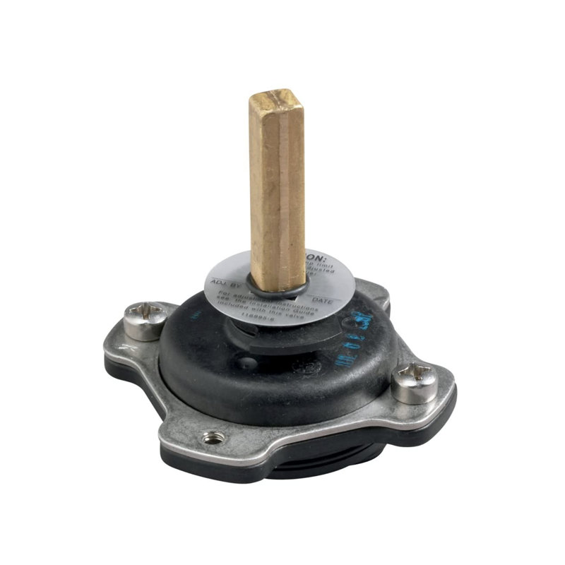 ENSEMBLE MIXER CAP SP