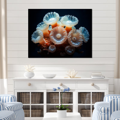" Balanophyllia S Colorful Coral Kingdom "