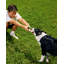 Falcon Hybrid Feeder/Toy-1314684356