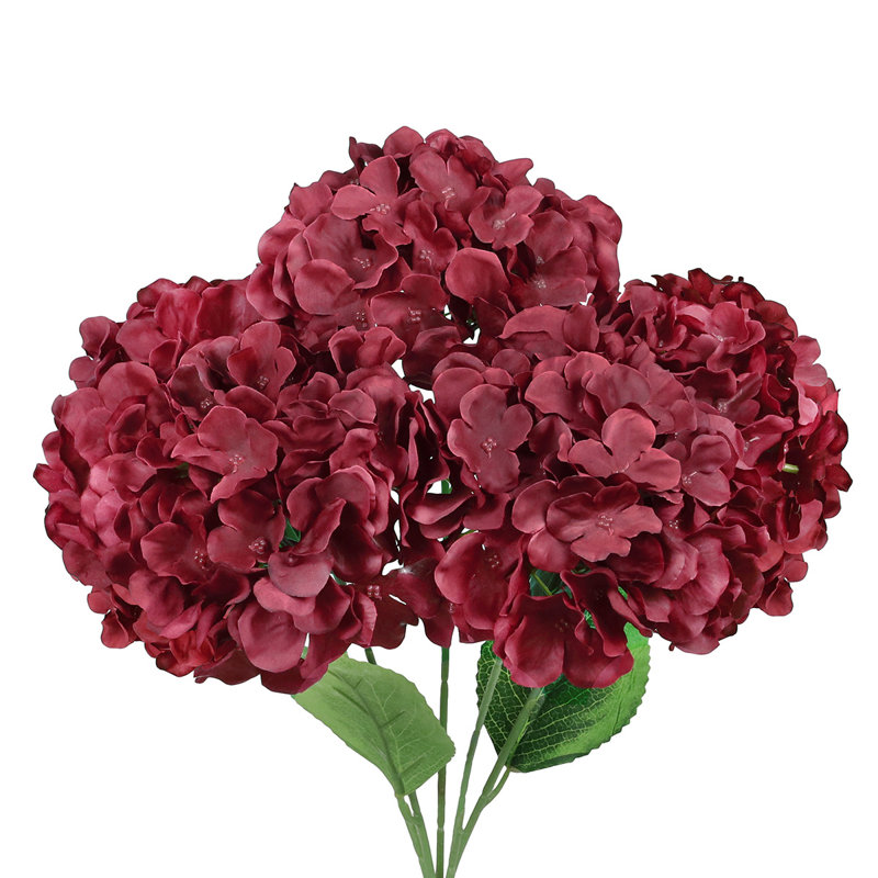 Hortensia de luxe, Bourgogne